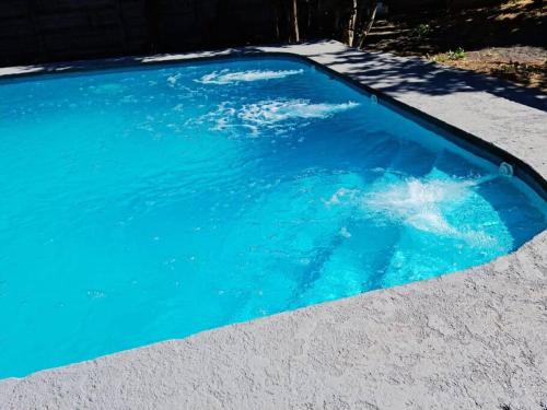 a swimming pool with a starfish in the water at Agradable casa con Tina de agua Caliente y Piscina in Quillón