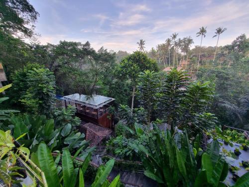 an overhead view of a garden with trees and plants at The Sebali Resort in Ubud