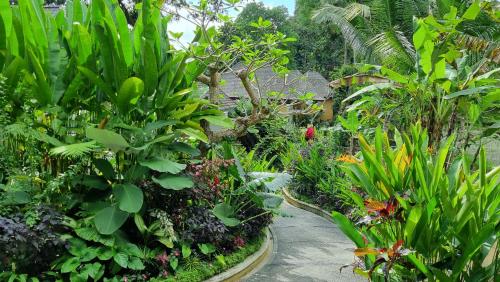 Jardin de l'établissement The Sebali Resort