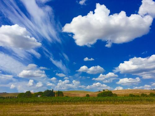 a field with a blue sky and clouds at Il Girasole Terzuolo in Manciano