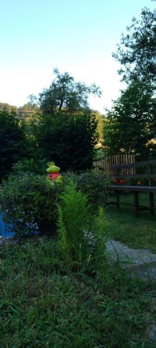 a park with a bench and a bush with a frisbee at Vikendica na Jazu in Kosjerić