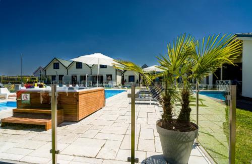 a palm tree in a pot next to a pool at Zielone Wzgórze in Mielno