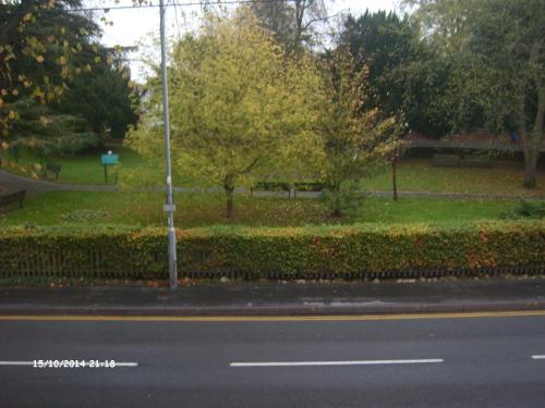 a street with a fence and trees in a park at Ashgrove House in Stratford-upon-Avon