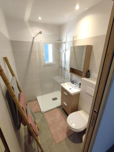 une salle de bain avec une douche, des toilettes et un lavabo dans l'établissement Olmeto 3 pièces, à Olmeto