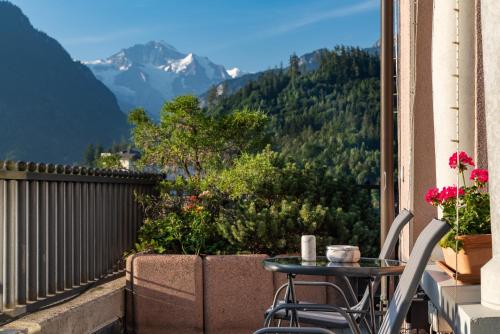 The Savoy Tower-Interlaken – Photos 5