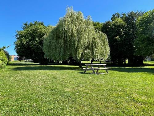 una mesa de picnic en un parque con un árbol llorando en L'orée du parc, en Retiers