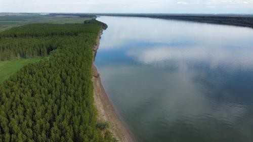 an aerial view of a large river with trees at Vila Siminica in Salcia
