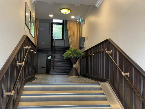 a staircase with a potted plant in the middle at Hotel Central in Bamberg
