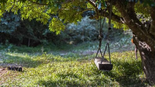 a swing hanging from a tree in the grass at Sky Island Resort in Ponta Malongane