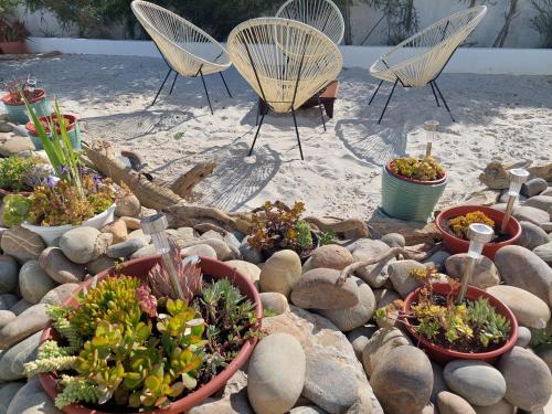 a group of chairs and potted plants on a beach at Villa Mariana Piscina Privada in Porto Covo