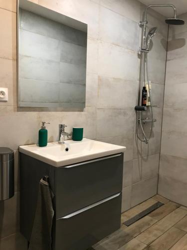 une salle de bain avec un lavabo et une douche dans l'établissement Studio Port Moderne HyperCentre Lumineux Climatisé, à Toulon