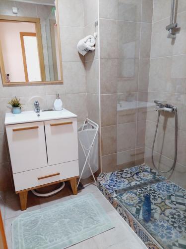 a bathroom with a shower with a sink and a shower at Aska Apartment in Bar