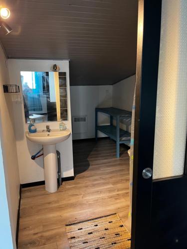 een badkamer met een wastafel en een spiegel bij Appartement dans quartier résidentiel in Saint-Quentin