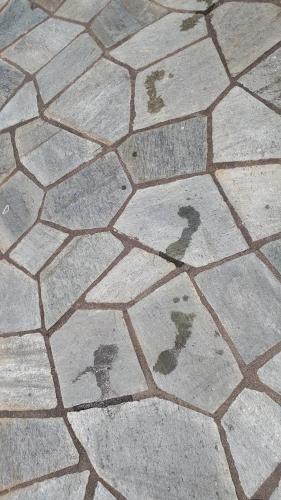 a group of bird prints on a stone sidewalk at The Cocoon and olives Hut in Koropi