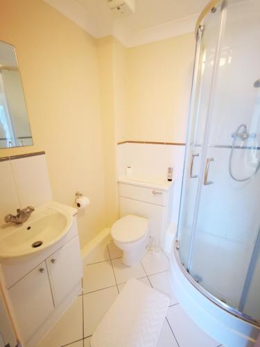 a bathroom with a toilet sink and a shower at Town Centre Penthouse in Basingstoke