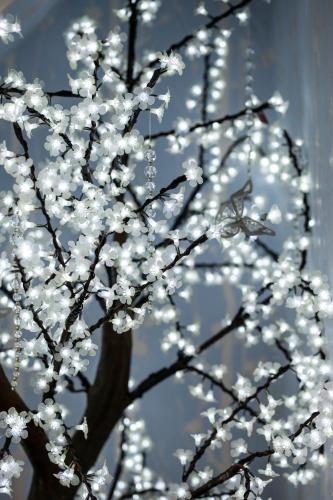 a tree with white lights on it at Enchanted Manor in Niton