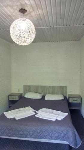 a bedroom with a bed with two night stands and a chandelier at Shale Verba in Kvasy