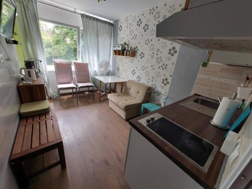 Кухня или мини-кухня в Apartment Fancy
