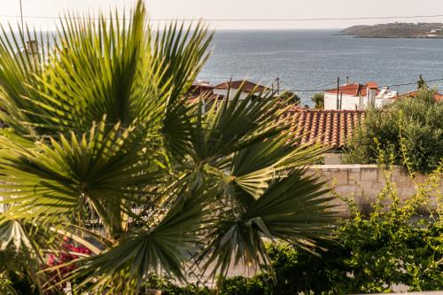 a palm tree with the ocean in the background at Creta Vitalis in Kalathas