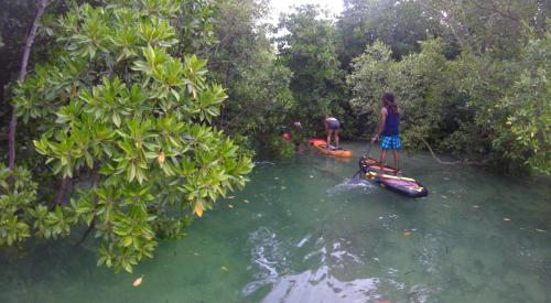 a couple of people standing in the water next to trees at AFYA Village at the sea in Michamvi