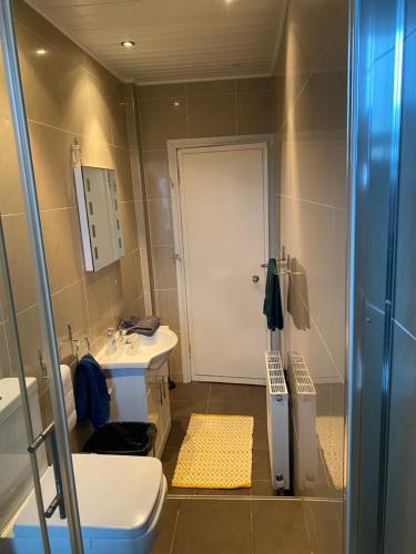La salle de bains est pourvue d'un lavabo, de toilettes et d'une douche. dans l'établissement Dalblair Apartment, à Ayr