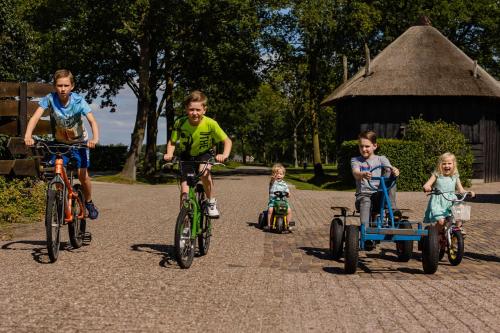 a group of children riding bikes and a wagon at Charmecamping & Appartementen De Regge-Vallei in Den Ham
