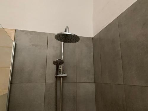 eine Dusche mit Duschkopf im Bad in der Unterkunft Siempre Feliz La Casita Los Molinos in Villaverde
