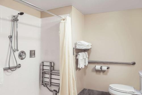 une salle de bain avec un rideau de douche et des toilettes dans l'établissement Econo Lodge Darien Lakes, à Corfu