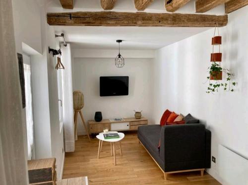 un salon avec un canapé et une télévision dans l'établissement Chez Fanny et Yohann, à Fontainebleau