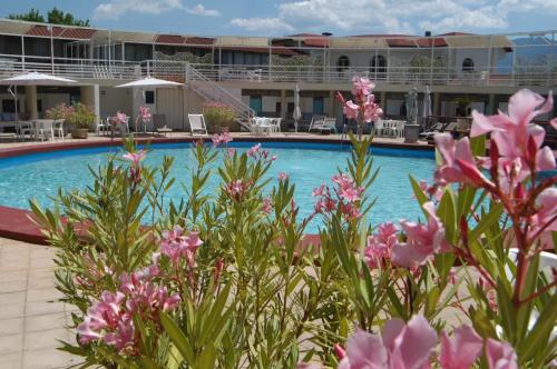 une piscine avec des fleurs roses en face d'un hôtel dans l'établissement Villa Dei Misteri, à Pompéi
