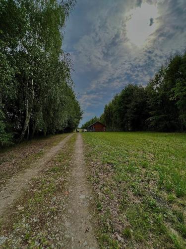 a dirt road in the middle of a field at DOMEK LETNISKOWY POD BRZOZAMI na Roztoczu wśród lasów, Zamość, Krasnobród, Zwierzyniec in AdamÃ³w