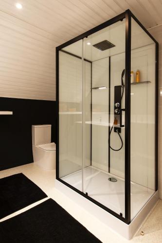 a glass shower in a bathroom with a toilet at B&B Maison Blanche in Ghent