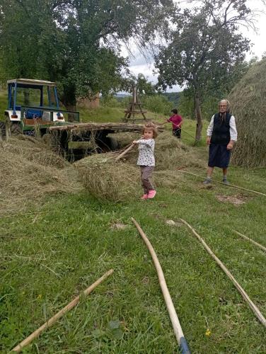 a little girl standing in a field with hay at Cazare la fermă in Galeşu