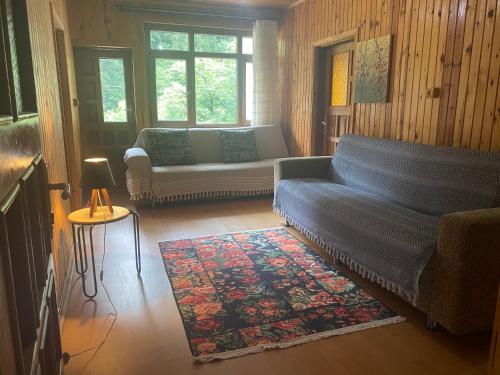 a living room with a couch and a rug at Nanus Ayder Apart and Restoran in Rize