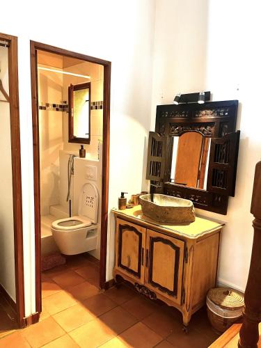 une salle de bain avec toilettes, lavabo et miroir dans l'établissement Le Mazet de choubouloute, à Saint-Gilles