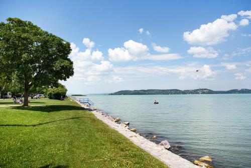 a body of water with a tree and a person in a boat at Blue Beach Apartman in Zamárdi