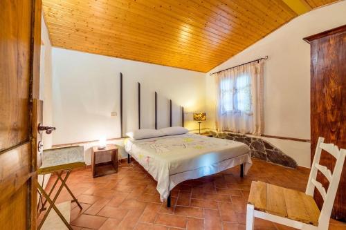 グロッセートにあるAgriturismo Il Feudoの木製の天井が特徴のベッドルーム1室(ベッド1台付)