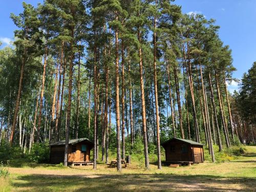 two huts in the middle of a forest with trees at SETO MAN Puhkekeskus in Värska
