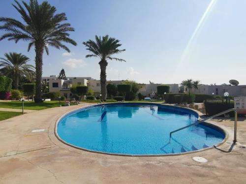 a large swimming pool with palm trees in the background at Ocean Pearl in Peyia