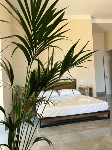 1 dormitorio con 1 cama con una planta grande en Calua experience view, en Agrigento