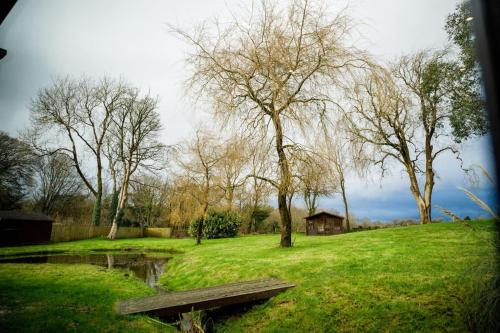 a park with a bench and trees and a pond at The Granary in Swansea