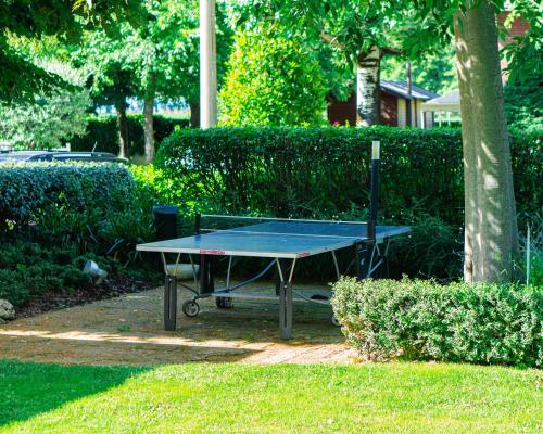 a ping pong table in a yard with a tree at Hotel Globo in Formigine