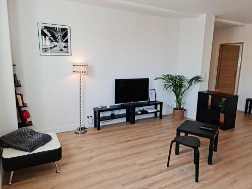 TV in/ali zabaviščno središče v nastanitvi Le ScottmanHouse - Appartement privé - Centre ville - Gare - Wi-Fi