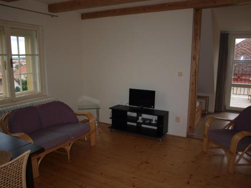 een woonkamer met een bank en een tv bij Dalimilka in Litoměřice