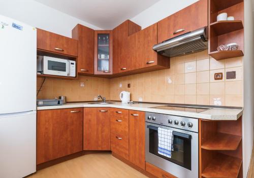 Kuchyň nebo kuchyňský kout v ubytování Horský apartmán Temari 8 Klínovec