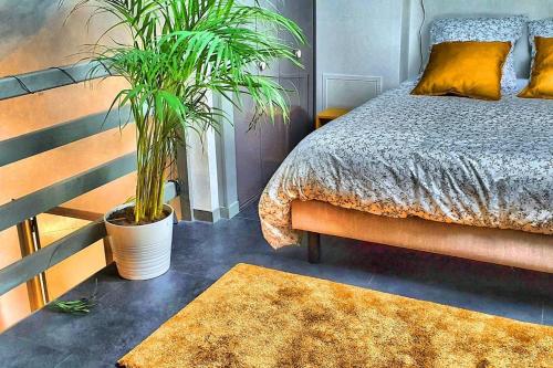 - une chambre avec deux plantes, un lit et un tapis dans l'établissement Suite Vintage Centre historique, à Rouen