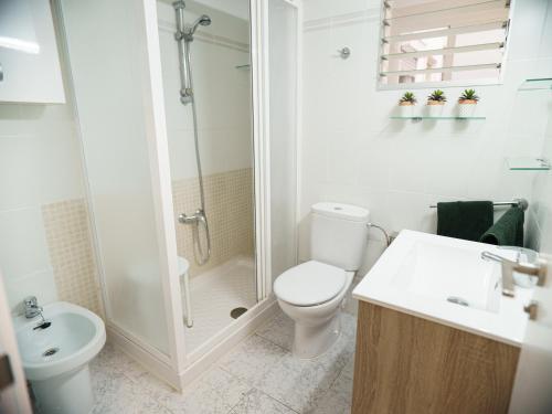 a bathroom with a toilet and a shower and a sink at II Apartamento moderno y céntrico en Castellón in Castellón de la Plana