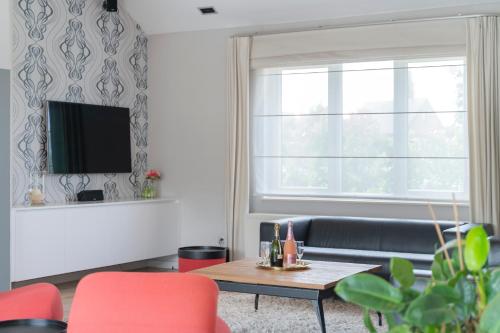 een woonkamer met een bank en een tv bij Ruime woning met grote omheinde tuin in Hasselt