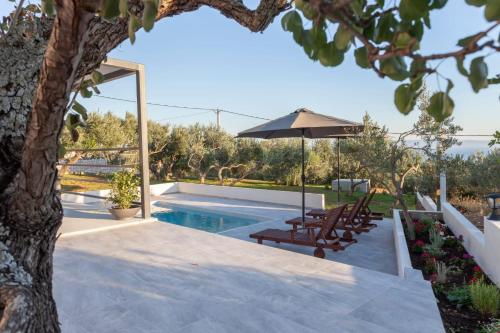 Olive Lounge House