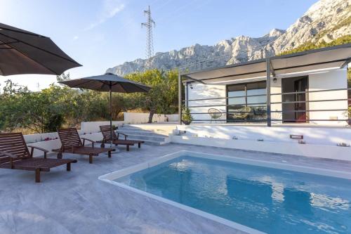 Olive Lounge House